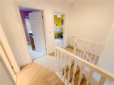 Picture 17